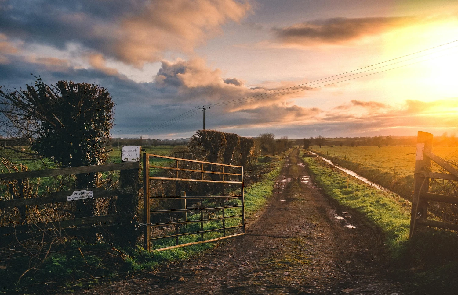 Sunset view Farmland